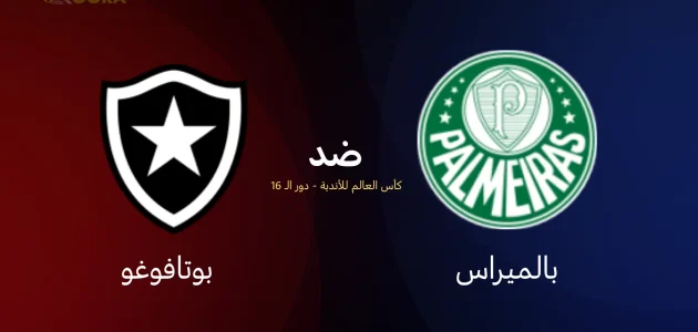 موعد مباراة بالميراس ضد بوتافوغو