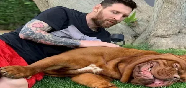 11 صورة وأبرز المعلومات عن الحيوانات الأليفة لنجوم كرة القدم 1 11 صورة وأبرز المعلومات عن الحيوانات الأليفة لنجوم كرة القدم